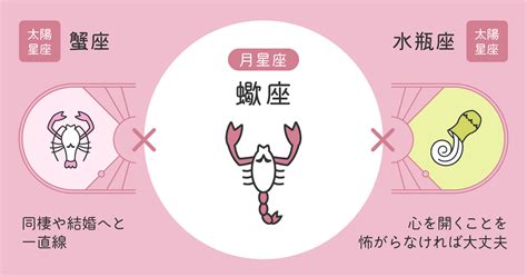 12星座相性【獅子座×蠍座】基本の性格や恋愛・結婚。